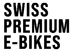 FLYER E-BIKES Sticker