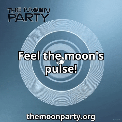 Humor Feel GIF by The Moon Party