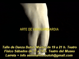 gustavocollinisartor arte teatro danza taller GIF