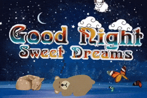 Good Night GIF