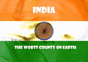 India Flag Beach GIF