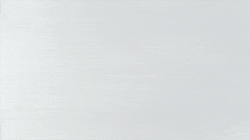 IDA GIF