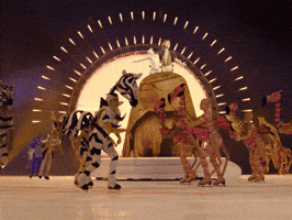Lion King Simba GIF by Disney On Ice