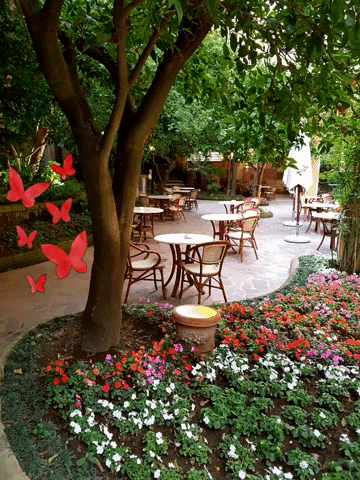 delavillesorrento GIF