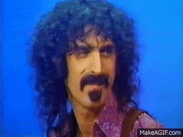 Frank Zappa 200