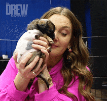 Dog Love GIF by The Drew Barrymore Show