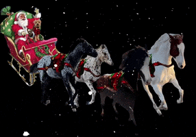 Merry Christmas GIF by Primapolo Productions