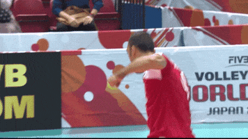 Style Yes GIF by Volleyball World