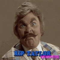 rip taylor 70s GIF by absurdnoise