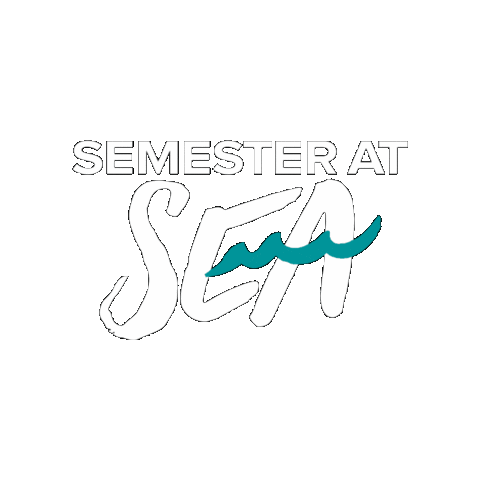 semesteratseavoyages Sticker