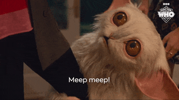 David Tennant Meep GIF by Doctor Who