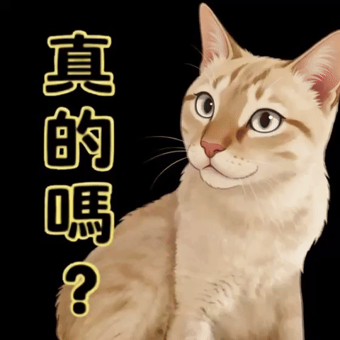 Cat GIF