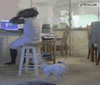 Hilarious-memes GIFs - Get the best GIF on GIPHY