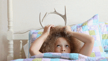 kids story GIF by by The Barkers