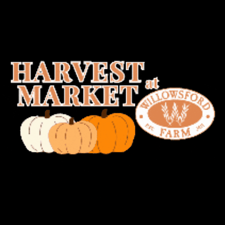 Fall Farm GIF by WIllowsford Conservancy