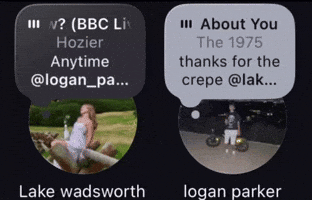 Lake Wadsworth GIF