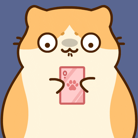 Phone Sweating GIF by Bichi Mao