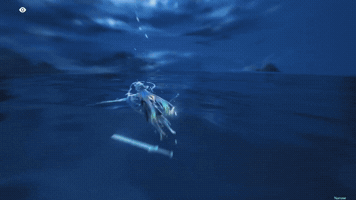 Wuwa GIF