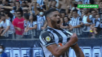 Serie A Hulk GIF by Canal Premiere