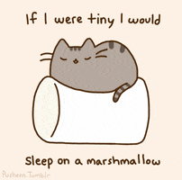 Kawaii gif. A Pusheen cat sleeps on a bouncing marshmallow. Text, “If I were tiny I would sleep on a marshmallow.”