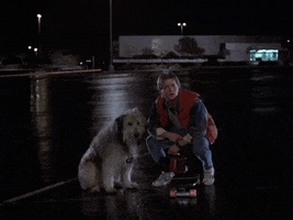 Michael J Fox Dogs GIF by Back to the Future Trilogy