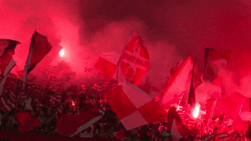 Red Star Fans GIF by FK Crvena zvezda