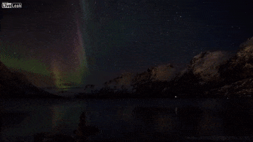 pom  GIF