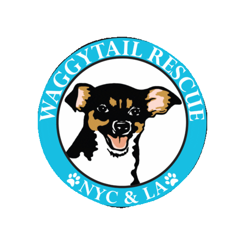 Waggytail Rescue Sticker For Ios Android Giphy