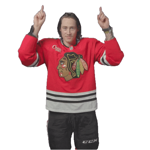 Tyler Bertuzzi Chicago Sticker by NHLBlackhawks