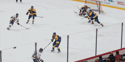 Hockey Goal Tip In GIF by Hockeyland