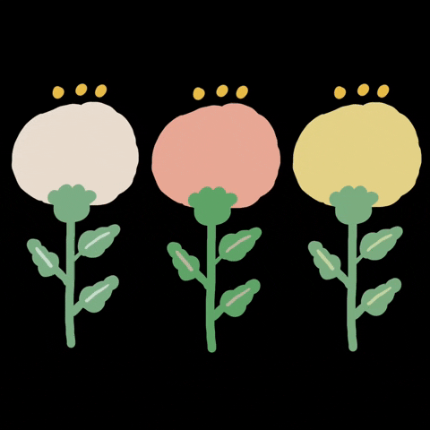 Flower 花 GIF