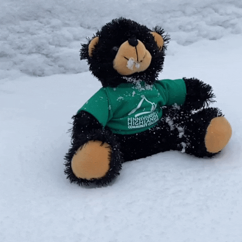 Black Bear Snow GIF by Penn Highlands