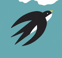Bird Swallow GIF by Martinut