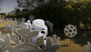 GIF by Westover Hills