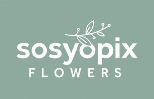 Sosyopix GIF