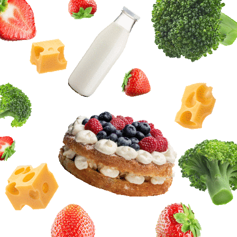 Bosch Home Türkiye Sticker