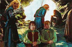 the lord of the rings hobbits GIF