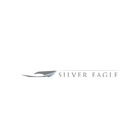 Silver Eagle Houston Sticker