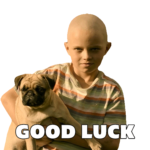 Good Luck Have Fun Dont Sticker