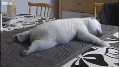 tired polar bear GIF