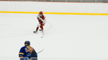 IupHockey GIF