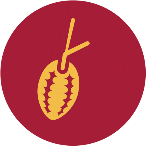 Chocolate Sticker