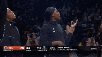 Happy New York GIF by WNBA