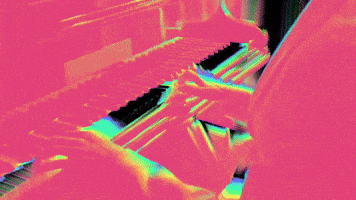 GIF by DashyDigital