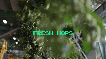 Scenic Valley Farms GIF