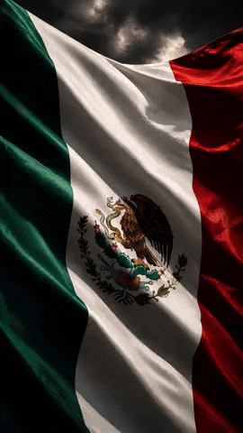 Mexican Flag Mexico GIF by Tourne