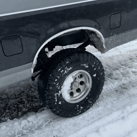 Silchukgif GIF