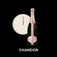 GIF by Chandon India