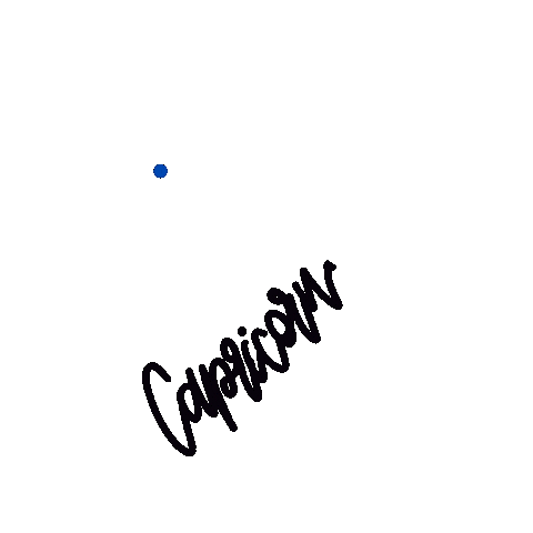 Miami Writes Co Sticker