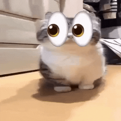 Cat Eyes GIF
